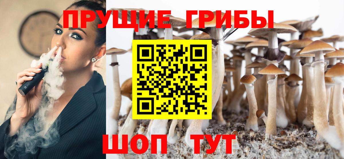 Галлюциногенные грибы Cubensis  Псилоцибиновые грибы Cubensis  Вход с VPN  Набережные Челны 